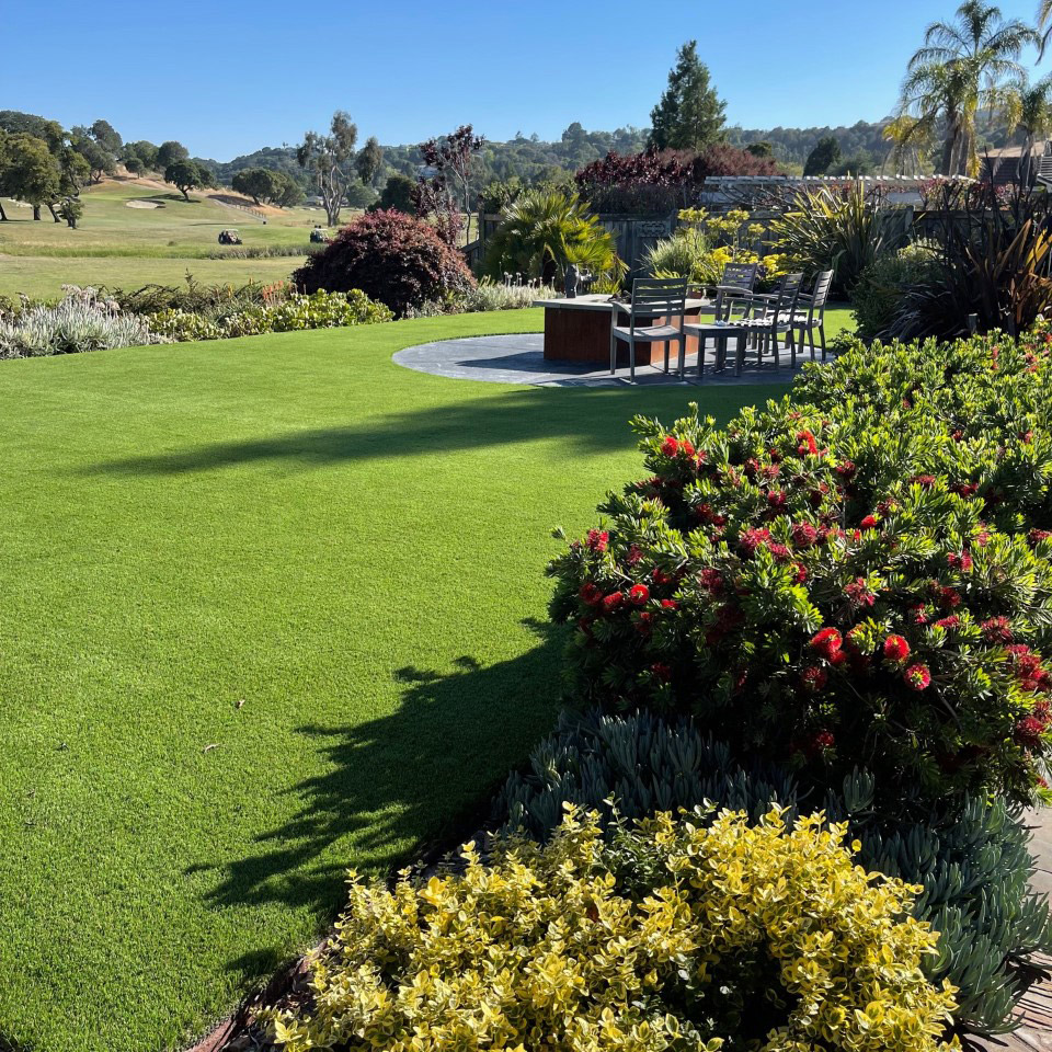 Beautiful Evernatural Premium turf home installation in Californira