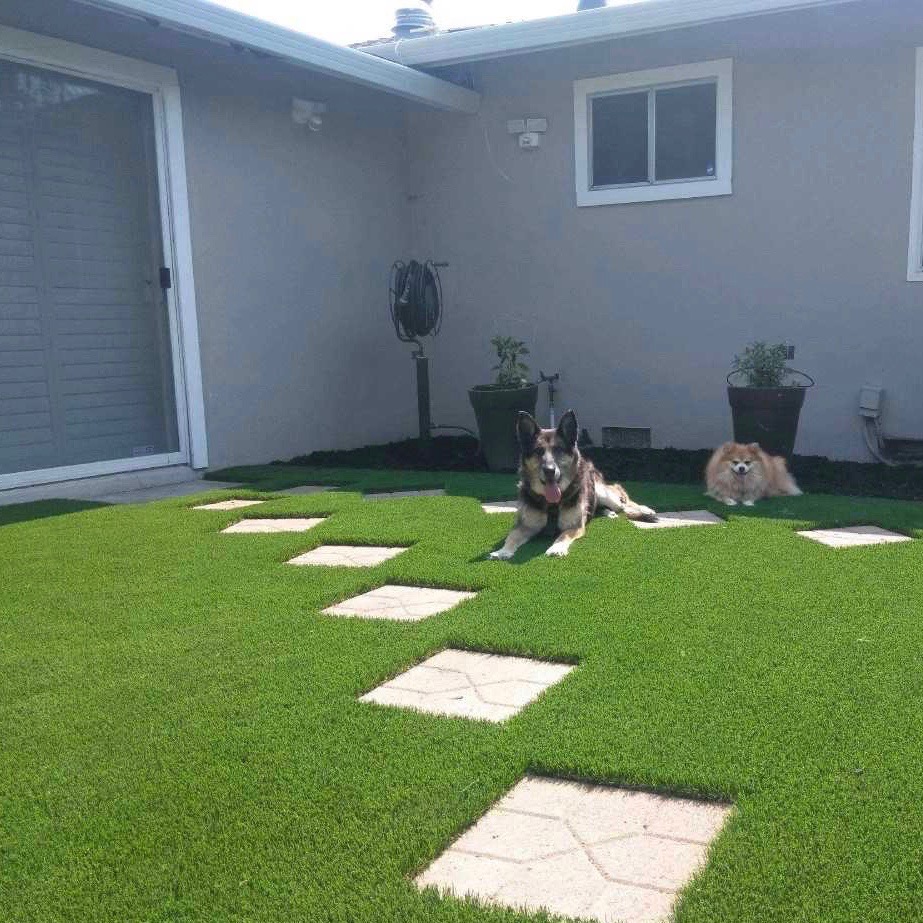 We love installing artificial turf that pets and people enjoy!