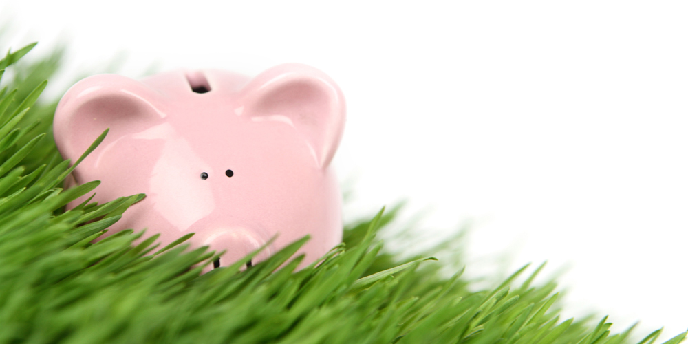 Learn about the cost effectiveness of plastic grass.