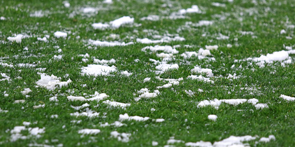 Artificial Turf is easy to maintain during any season.