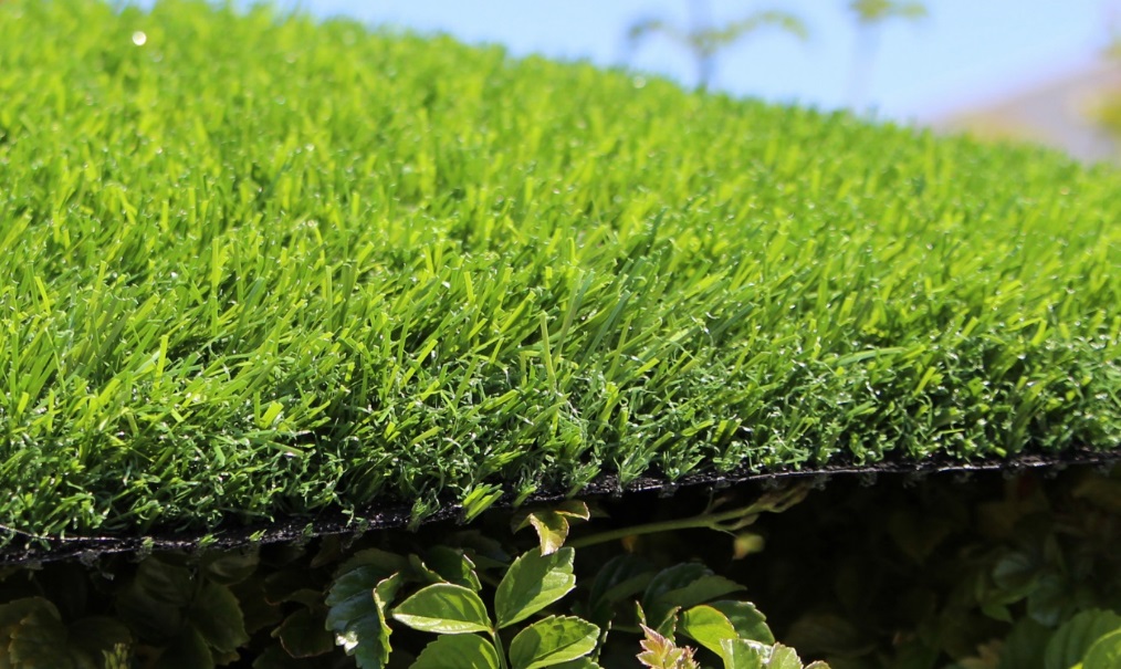 Artificial Grass, Evergreen 54 GOG, is for residential use.