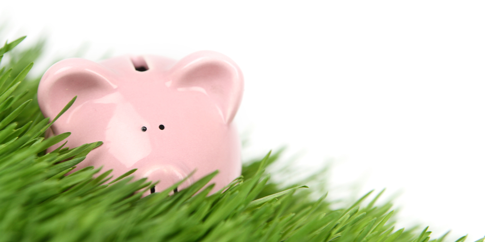 When you read the Watersavers Turf blog you will learn how artificial grass can save you money.