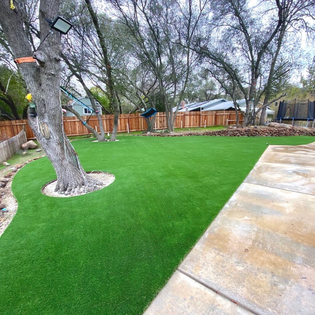 Sequoia turf installed around trees in backyard