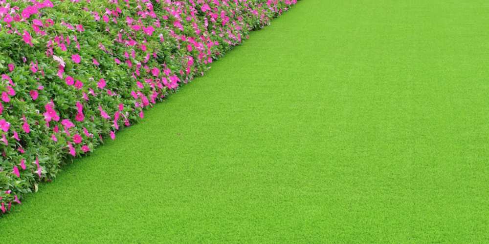 Decorate your artificial grass landscaping with perennials. Read the Watersavers Turf blog to find out how.