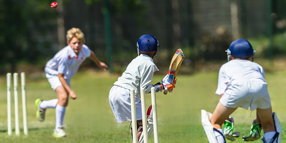 Learn why synthetic cricket turf and the game of cricket are so popular in the San Francisco Bay Area when you read the Watersavers Turf blog.