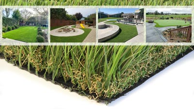 Watersavers Turf Catalog products