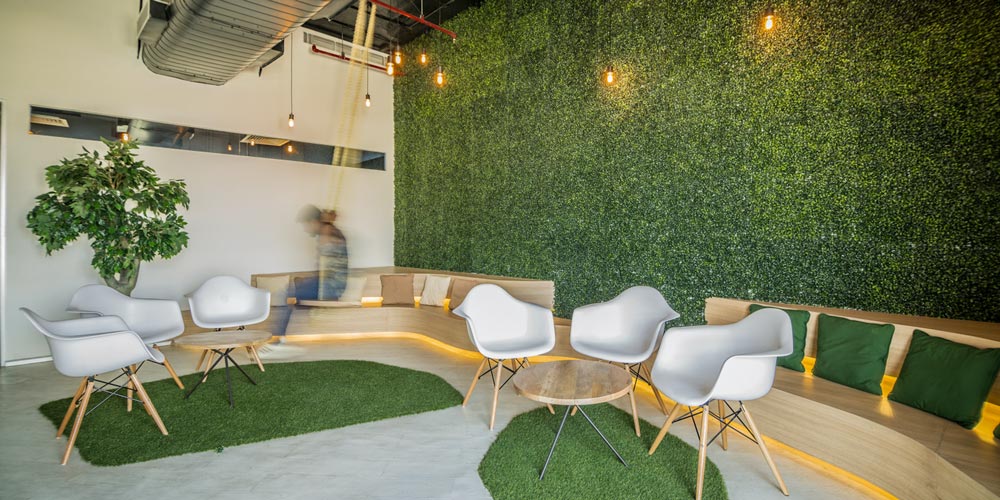 Indoor grass ideas for the office