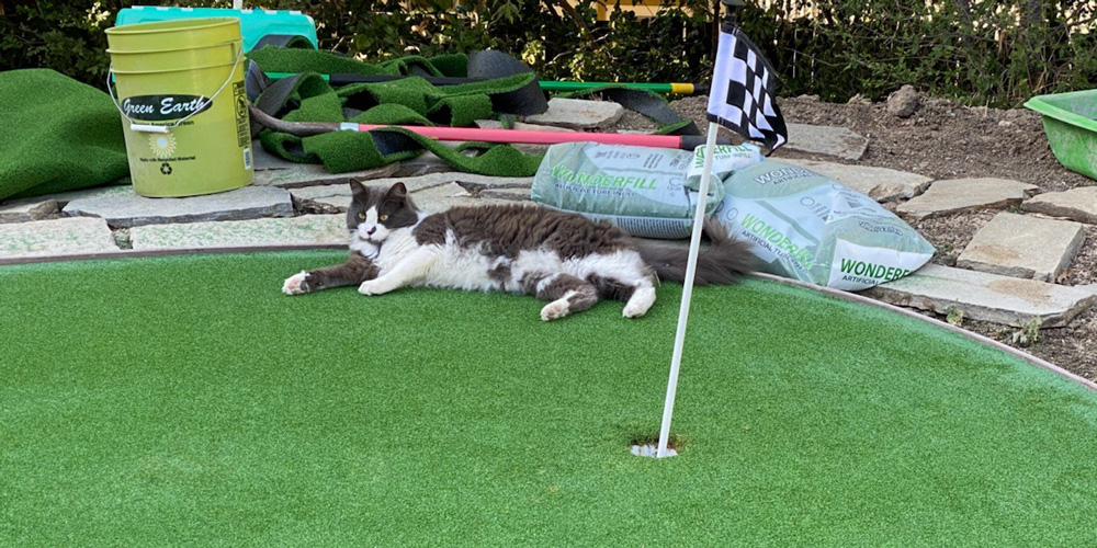 Artificial grass for cats with a putting flag