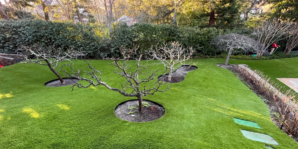 Beautiful artificial grass around trees in a backyard
