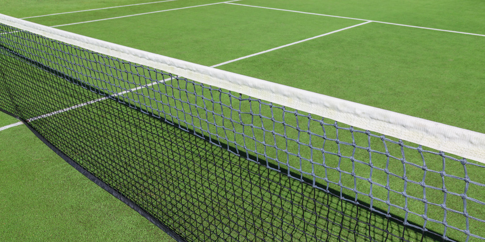 Court for playing pickleball on artificial grass
